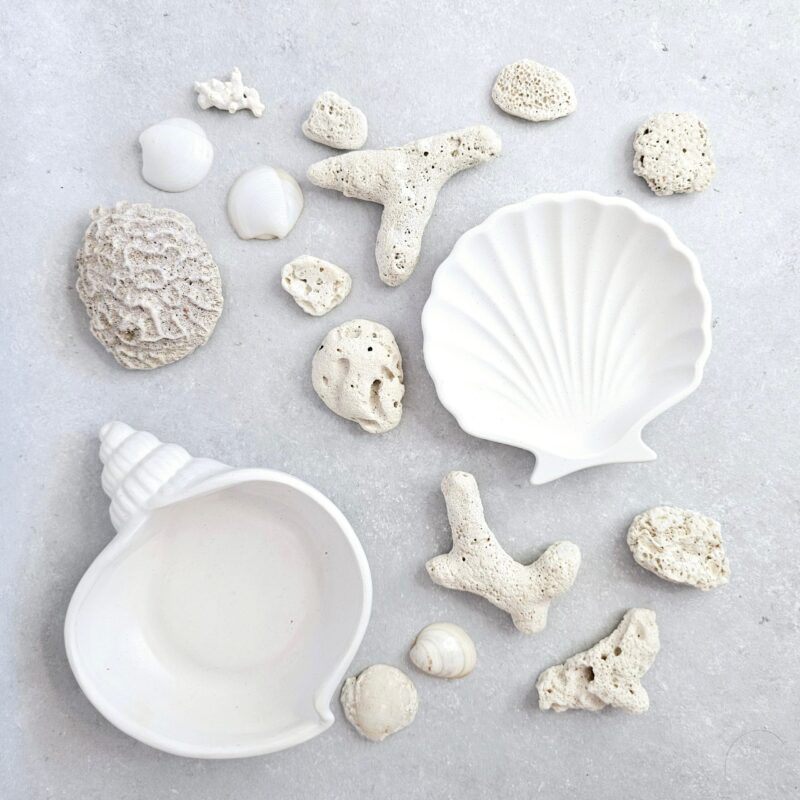 Shell - Imagen 3